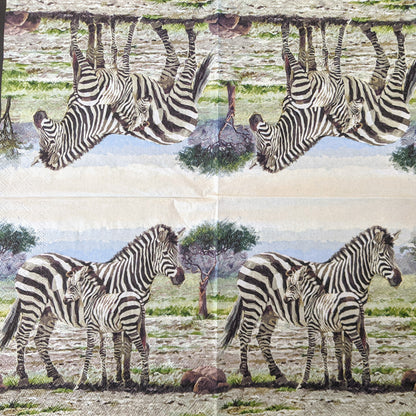 Decoupage Napkins 6.5"- Zebras
