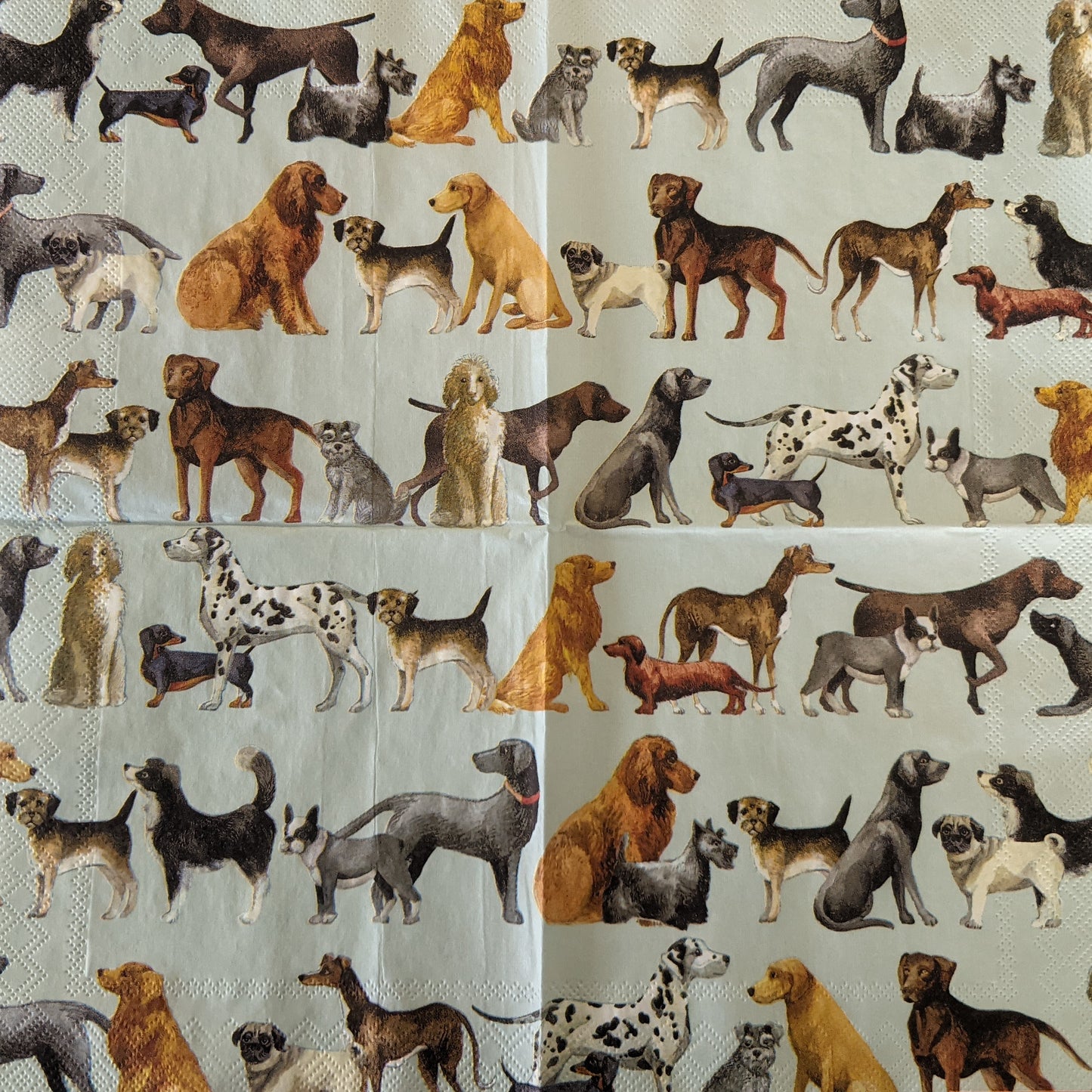 Decoupage Napkins 6.5"- Dogs Light Blue