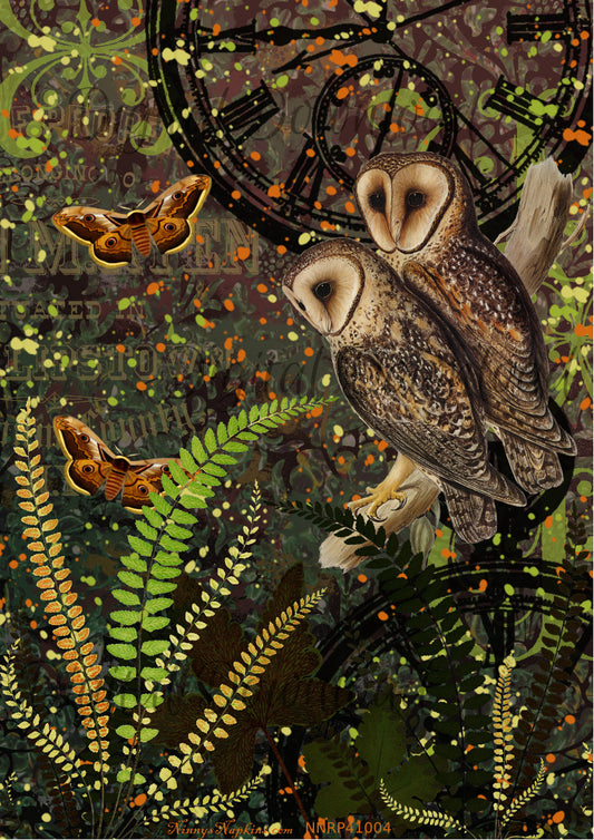Ninny's Owl Pair Digital Download A4