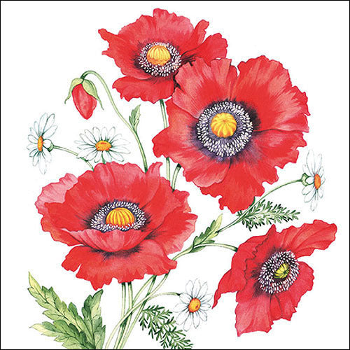 Nasturtium Napkins for Decoupage – Ninnys Napkins