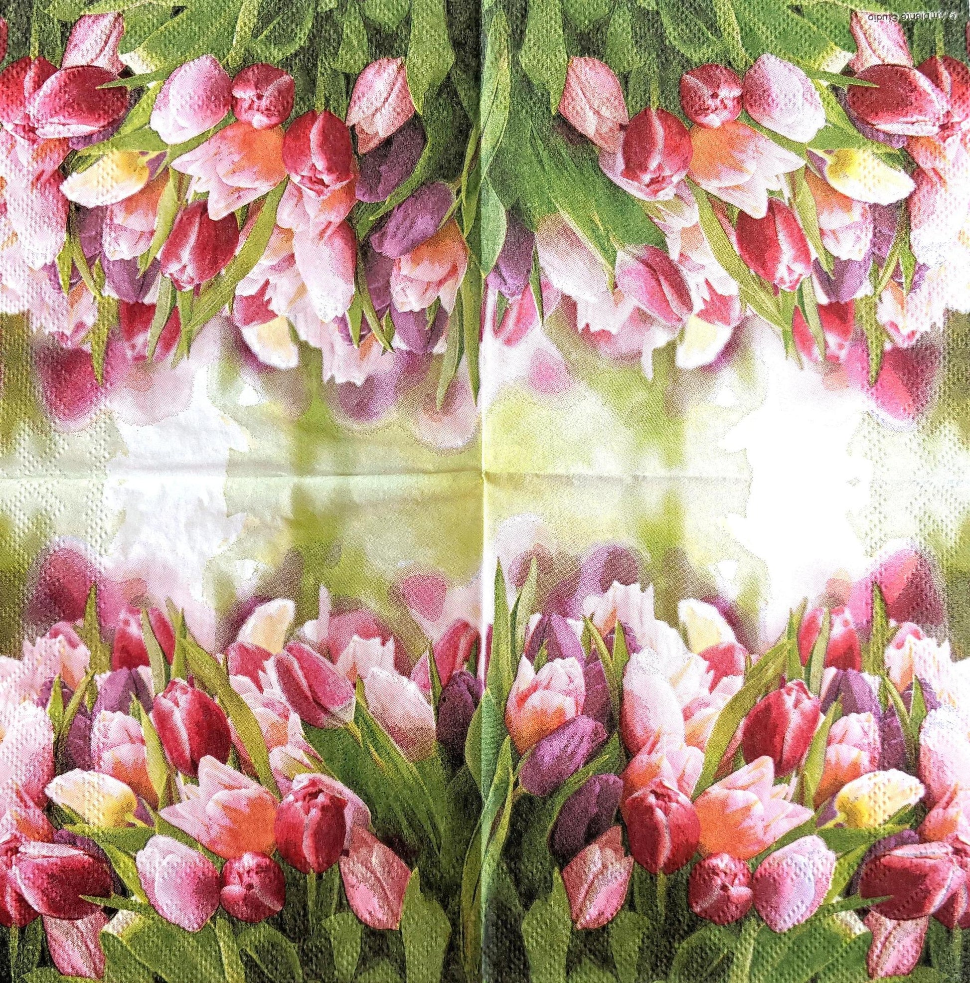 Decoupage Napkins 5" (2pcs)- Glorious Tulips