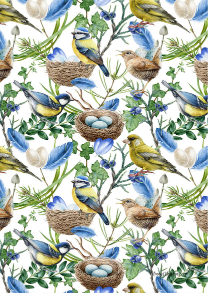 Ninny's Rice Paper A4 Value Pack of 8 - Backyard Birds Part 1