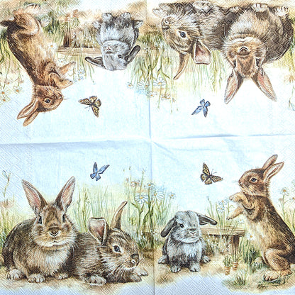 Bunny and Clyde Napkins for Decoupage