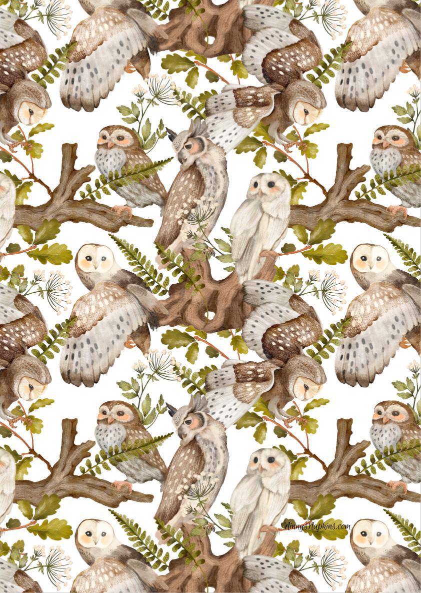 Ninny's Rice Paper A4 - Owl Pattern