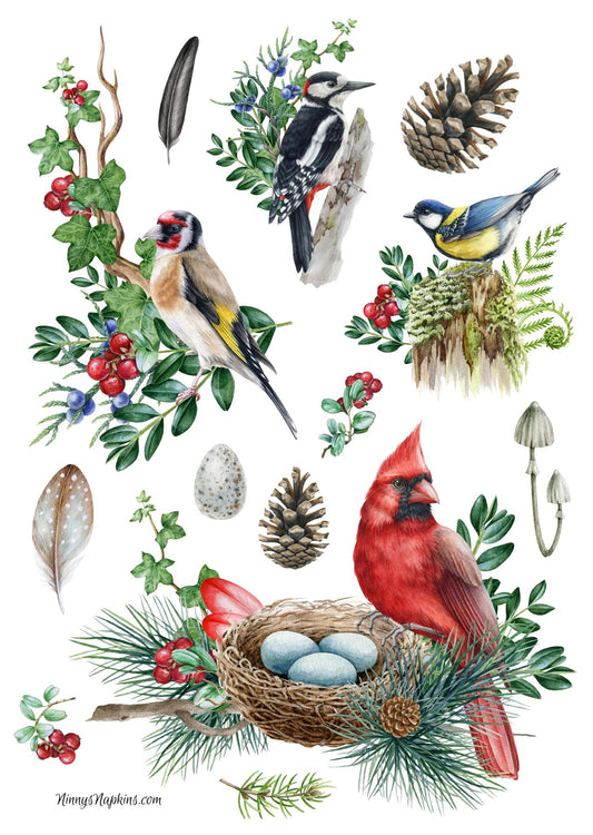 Ninny's Rice Paper A4 - Birds and Berries
