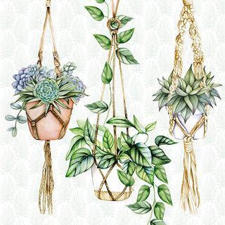 Decoupage Napkins 6.5" - Hanging Plants