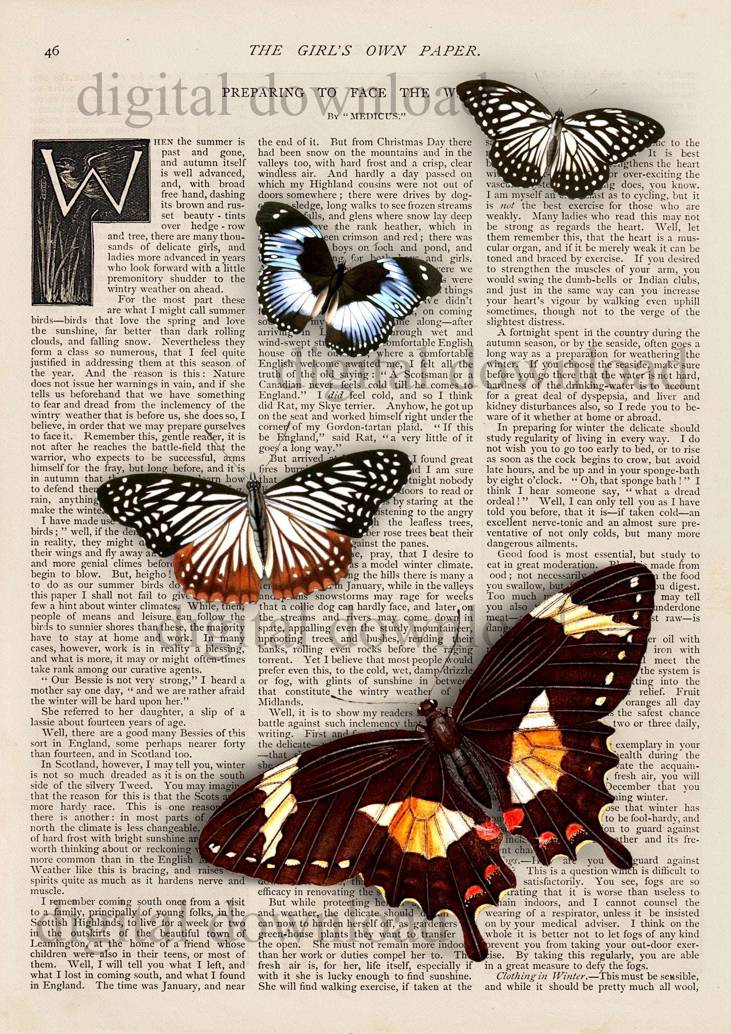Ninny's Girl's Own Butterflies Digital Download A4