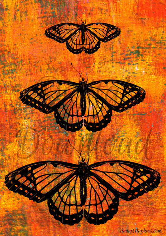 Ninny's Monarch Digital Download A4