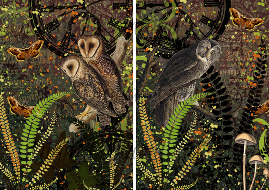 Ninny's Owls Digital Download A4