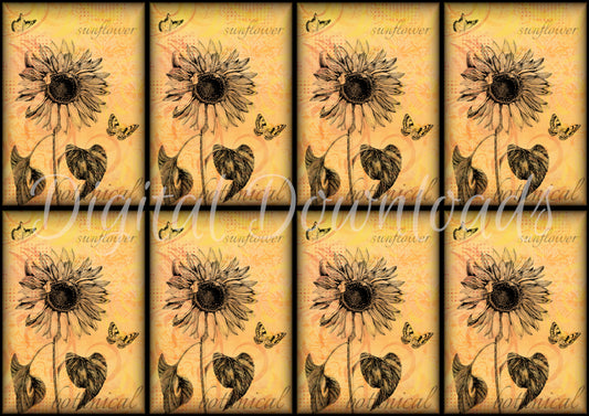 Ninny's Sunflower Vignette Cards Digital Download A4