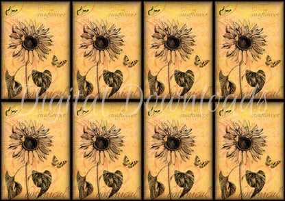 Ninny's Sunflower Set Digital Download A4