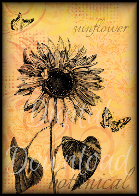Ninny's Sunflower Vignette Digital Download A4