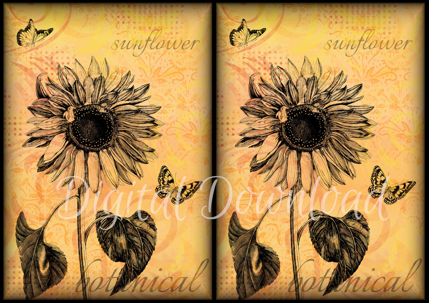 Ninny's Sunflower Vignette Digital Download A4