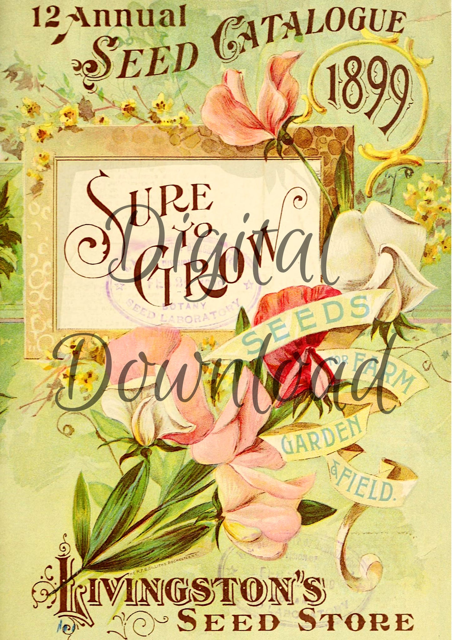 Ninny's Vintage Seed Packets and Catalogue Set Digital Download A4