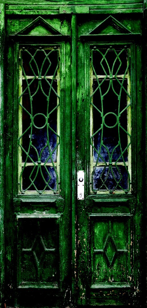Ninny's Tear Resistant Tissue, Door Size - The Green Door